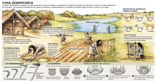 vida neolitico